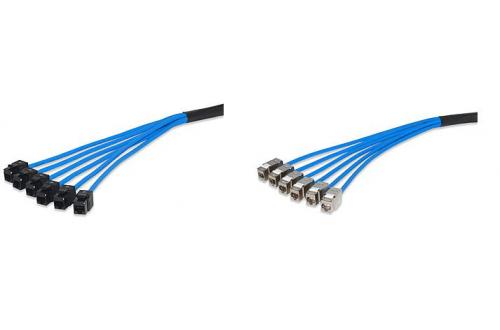 Category 5e UTP Pre-Terminated Trunk Cable Assemblies 