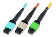 MPO Optical Fiber Assemblies